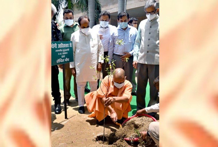 विश्व पर्यावरण दिवस: मुख्यमंत्री योगी ने अपने सरकारी आवास पर किया पौधरोपण ...