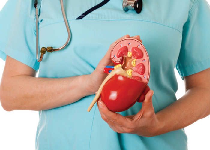 kidney health: इन 5 आदतों से किडनी हो सकती है खराब,न करे ये गलतियां 