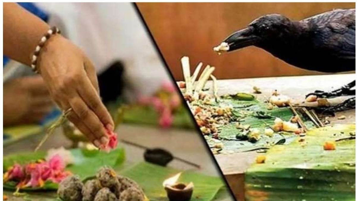 Pitru Paksha 2024: आज है पितृ पक्ष का दूसरा श्राद्ध, जानिए श्राद्ध करने की किस तिथि का क्या है खास महत्व 