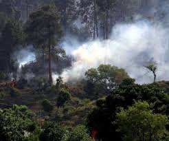 भारतीय सेना ने पाक फौज के कई बंकरों को किया नेस्तानाबूद, 12 जवानों को मार गिराया