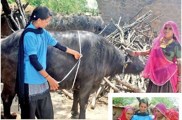 जम्मू-कश्मीर में सीमापार से गोलाबारी के कारण दुधारू पशुओं के नुकसान पर मुआवजा बढ़ाया गया