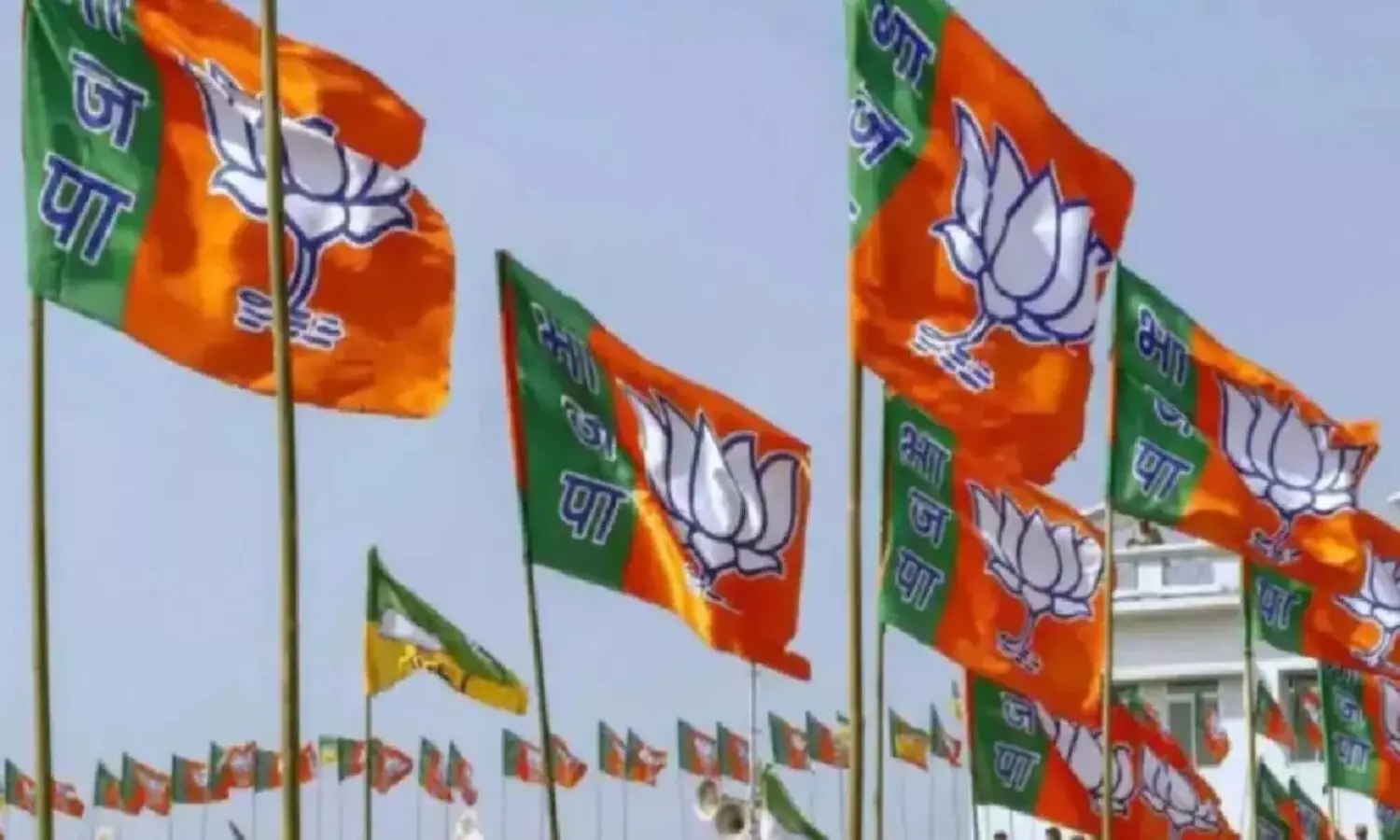 Haryana Assembly Elections:हरियाणा में BJP की दूसरी लिस्ट जारी, 21 प्रत्याशियों में दो मुस्लिम चेहरे भी है शामिल 