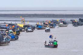 Over 15,000 Fishers and Farmers Join Online Talks to Shape India’s Fisheries Future