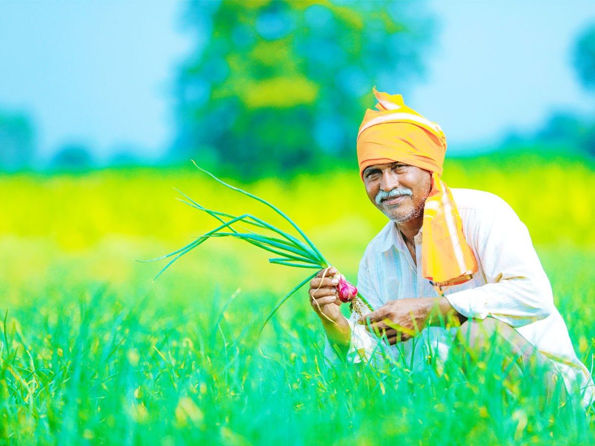 किसानों ने सीएम योगी के प्रति जताया आभार, कहा, पहली बार बढ़ा किसानों का मान