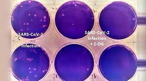 कोरोनावायरस :DRDO की 2-DG दवा के आपात इस्तेमाल को DCGI ने दी मंजूरी