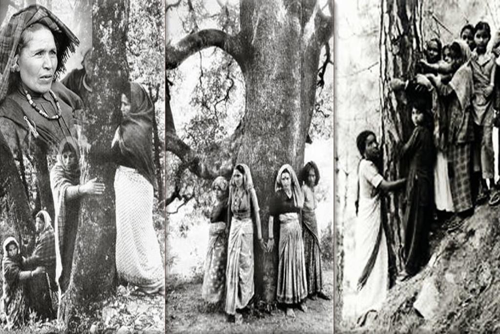 50 Years of Chipko Andolan: महिलाओं का चिपको आंदोलन? जिसने इंदिरा सरकार को हिला दिया था!